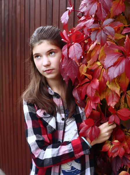 Adolescente menina retrato no outono outono outono fundo — Fotografia de Stock