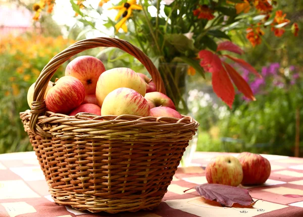 苹果和秋天背景上的花瓶里的花 — 图库照片