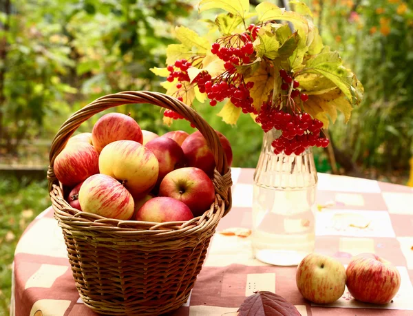 Manzanas y bayas viburnum en el fondo de otoño —  Fotos de Stock