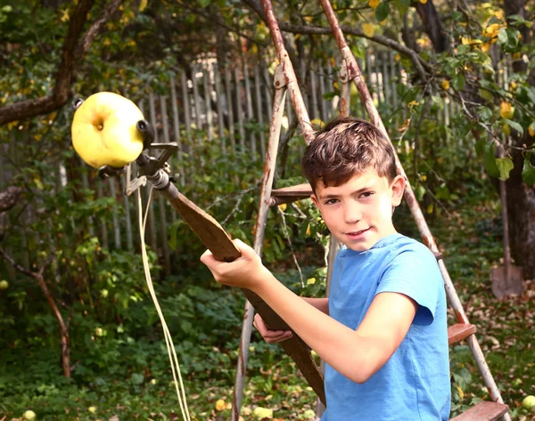 Boy pluck ripe apples from the tree with special device — Stock Photo, Image