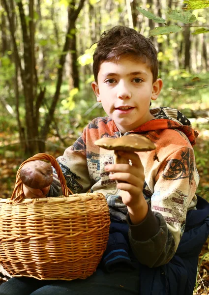 Jongen verzamelen paddestoelen in het najaar forest — Stockfoto