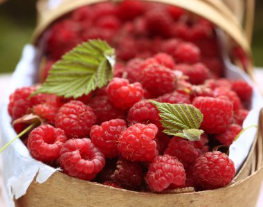 hasır sepet içinde olgunlaşmış ahududu