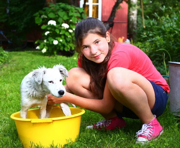 Девочка моет белого щенка в тазике — стоковое фото