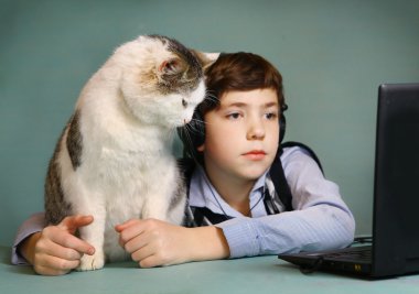 çocuk ve kedi seyretmek film bilgisayar
