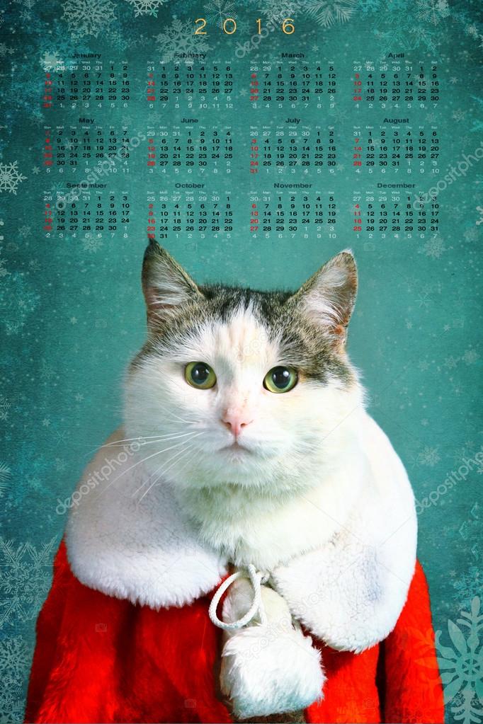 cool tom cat in santa claus garment mantel