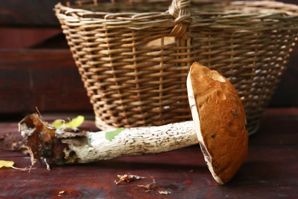 Aspen red cap mushroom beside the wicker basket — Stock Photo, Image