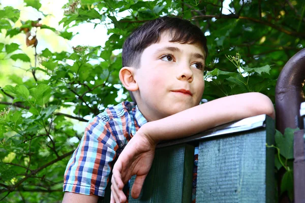 Красивый мальчик перелез через деревенский забор — стоковое фото