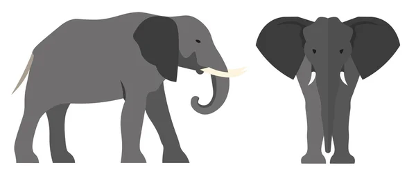 Elefante ilustración plana. Vector — Archivo Imágenes Vectoriales