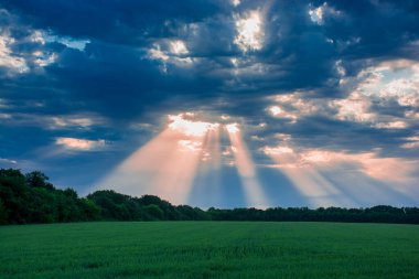 Çayırın üzerinde akşam karanlığında. Parlak dramatik gökyüzü ve yeşil çimenler. Gün batımında rengarenk bir gökyüzü altında kırsal alan.