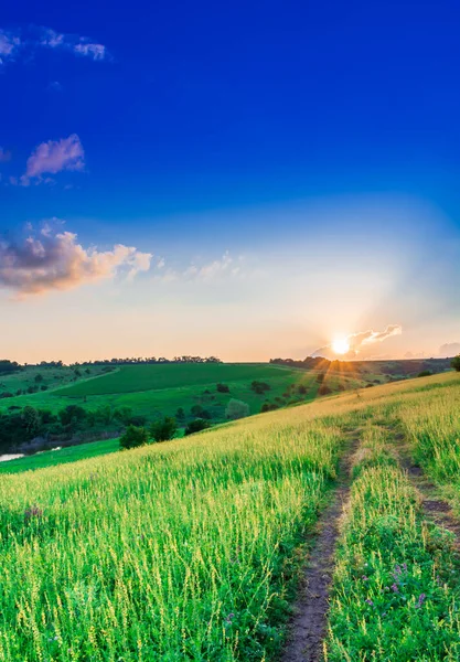 Prachtig Zomers Landschap Prachtig Uitzicht Het Meer Omgeven Door Weiden — Stockfoto