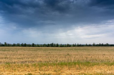 Mown buğday tarlası dramatik gökyüzü arka planı, kırsal arazi
