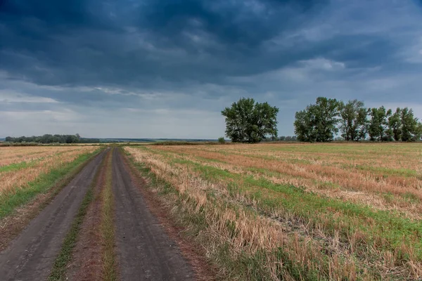 Campo Trigo Cortado Contra Fundo Céu Dramático Paisagem Rural — Fotografia de Stock