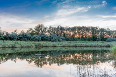 Yeşil sazlıklar arasında resim gibi bir göl, akşam manzarası