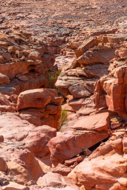 Sina Yarımadası 'ndaki renkli Salam Kanyonu. Güzel kıvrımlı kireçtaşı taşları..