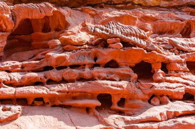 Sina Yarımadası 'ndaki renkli Salam Kanyonu. Güzel kıvrımlı kireçtaşı taşları..