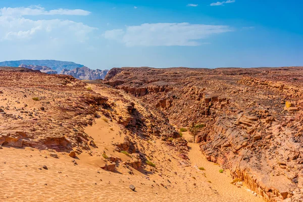 Sina Yarımadası Ndaki Renkli Salam Kanyonu Güzel Kıvrımlı Kireçtaşı Taşları — Stok fotoğraf