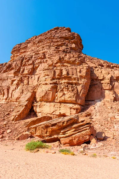 Cañón Colores Península Del Sinaí Hermosas Piedras Calizas Curvas Plantas — Foto de Stock