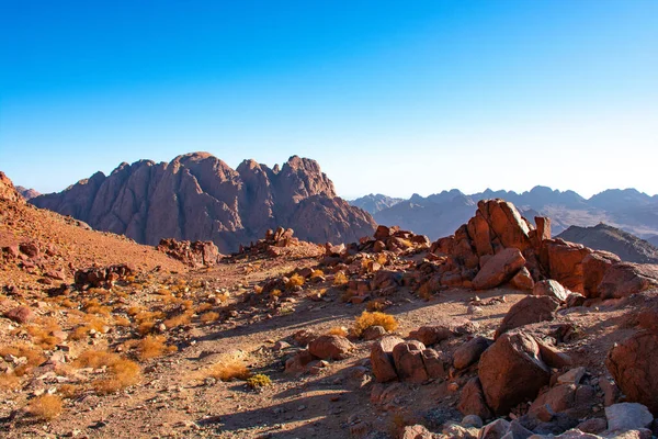 Egito Sinai Montanhas Dia Ensolarado Brilhante Bela Paisagem — Fotografia de Stock