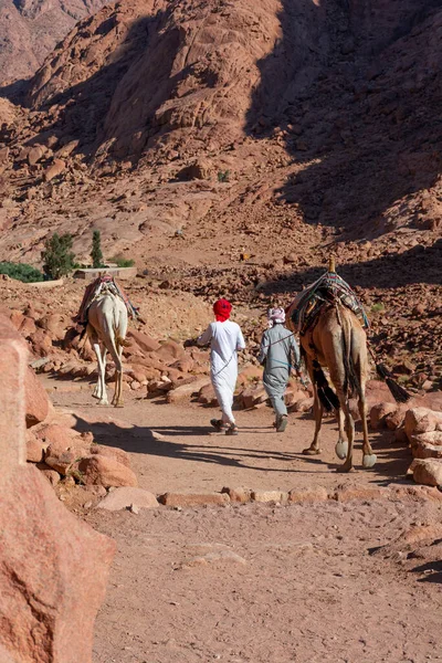 Ägypten Weg Zum Berg Moses Einem Sonnigen Tag Blick Auf — Stockfoto