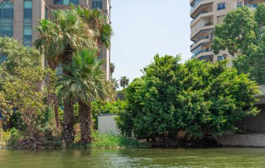Mısır, Nil nehrinin kıyısından Kahire şehri manzarası
