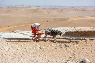 Giza Vadisi piramidinin arka planında at arabaları var.