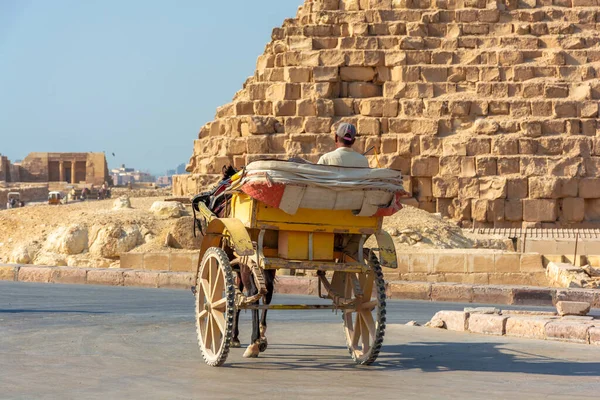 Horse Carriages Background Pyramid Giza Valley — Stock Photo, Image