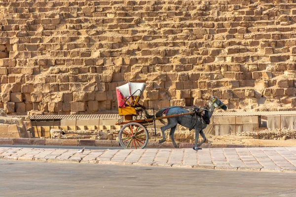 Horse Carriages Background Pyramid Giza Valley — Stock Photo, Image