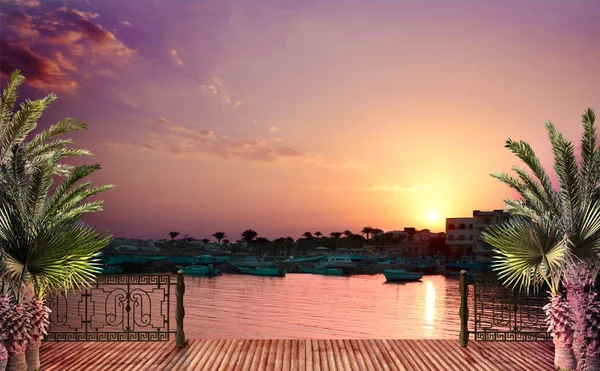 Tropische landschap met palmbomen, de zee en de zonsondergang — Stockfoto