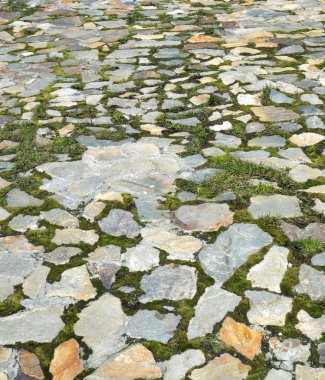 Taşların arasında büyüyen çimenli bahçe taşı patikası.