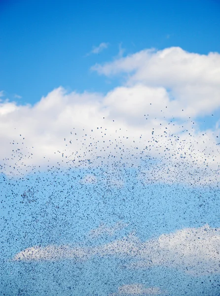 Gotas de agua contra un cielo azul con nubes blancas , — Foto de Stock