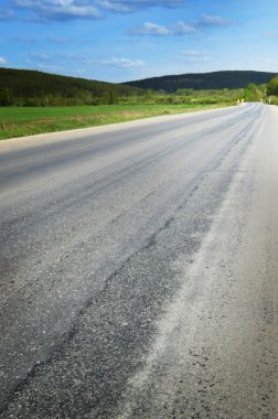 Asfalt yol mesafe içine gider ve ormana kaybolur