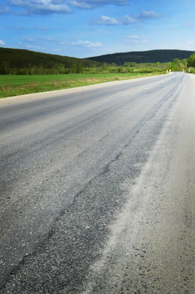 Asfaltweg gaat in de verte en verdwijnt in de bossen — Stockfoto