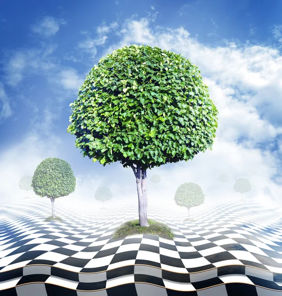 Zielone drzewo, Błękitne niebo z chmur i podłodze szachownica, złudzenie optyczne — Zdjęcie stockowe