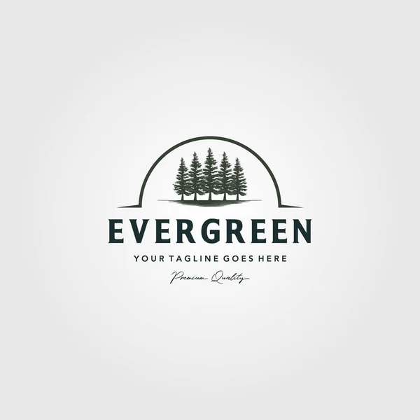 Pinheiros Evergreen Logotipo Vintage Design Ilustração Vetorial —  Vetores de Stock