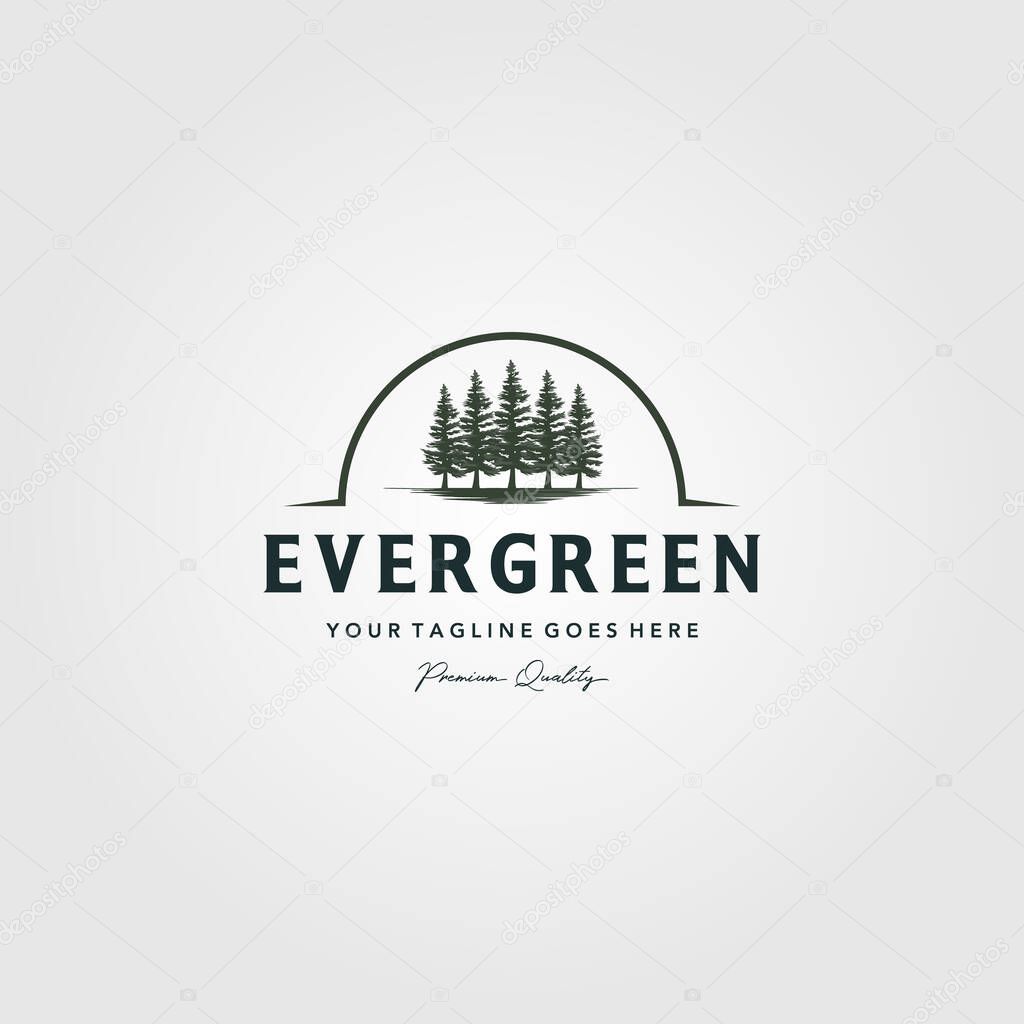 Pine trees evergreen Vintage logo vector illustration design