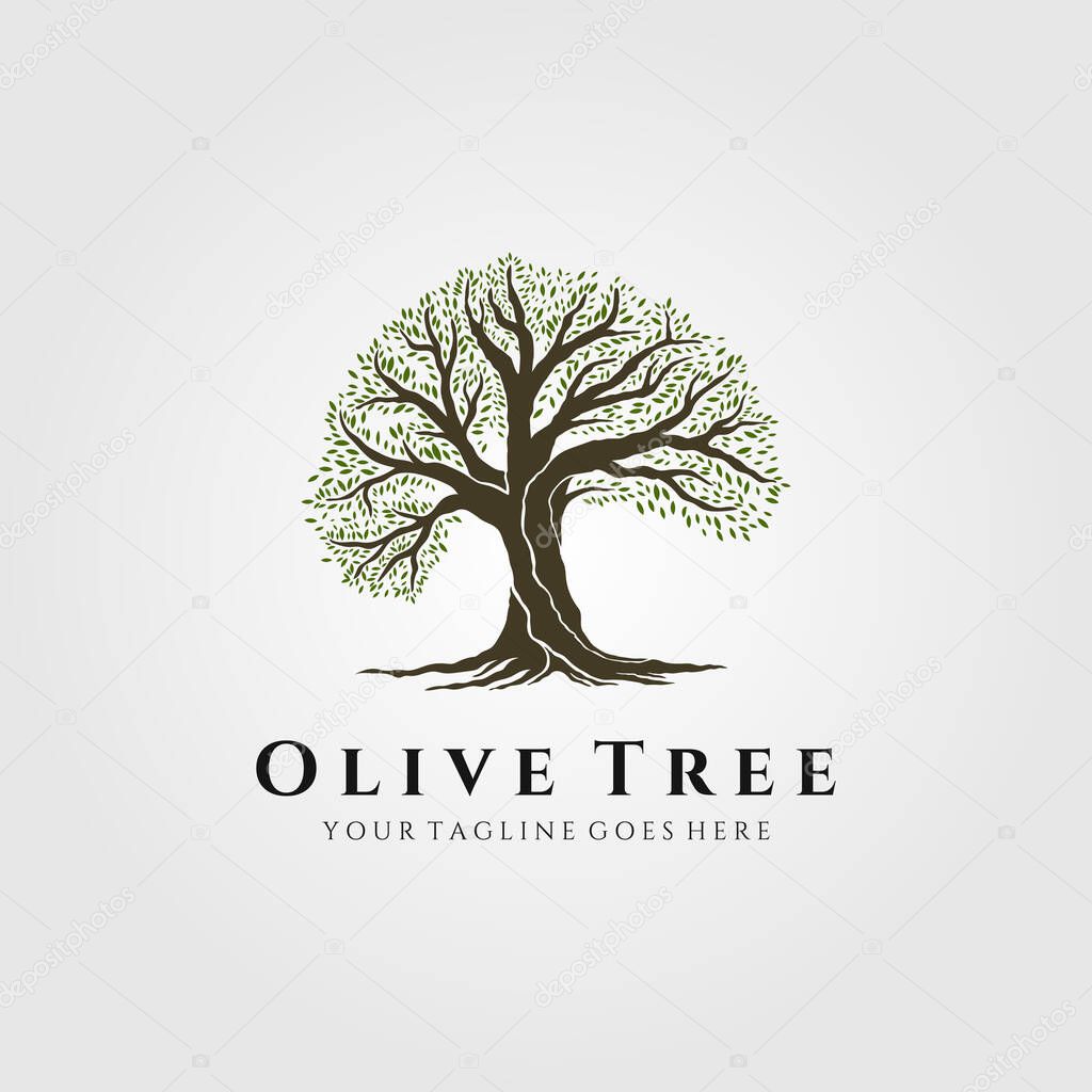 vintage tree nature logo vector illustration design