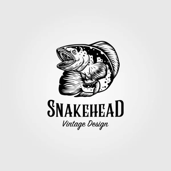 Channa Snakehead Peixe Vintage Logotipo Vetor Ilustração Design —  Vetores de Stock