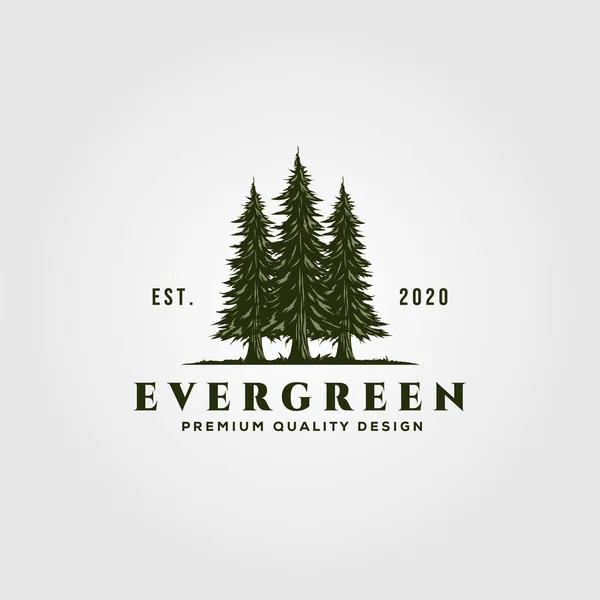 Evergreen Logotyp Vintage Illustration Design Tallar Logotyp — Stock vektor