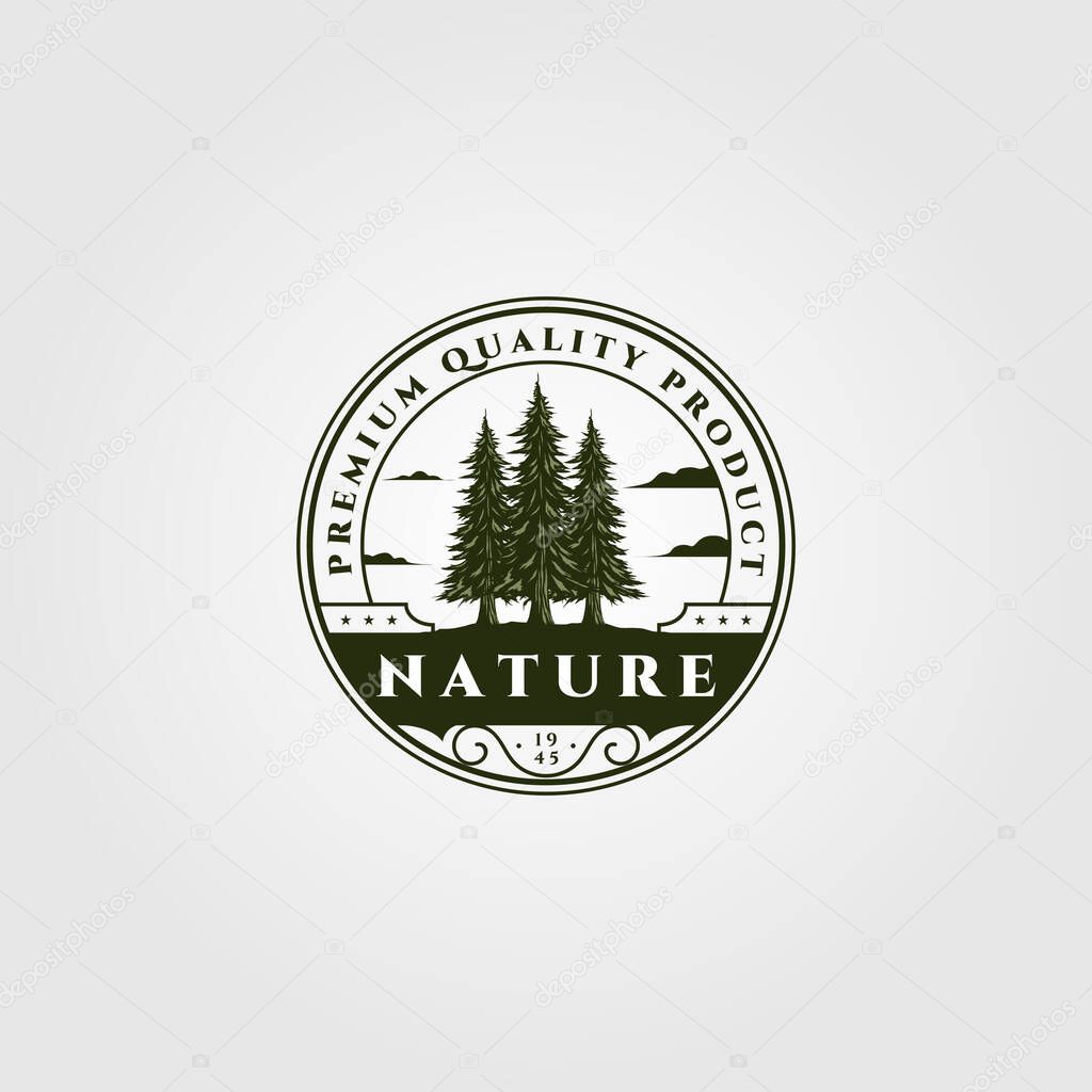 Pine tree emblem vector illustration design, vintage spruce badge design