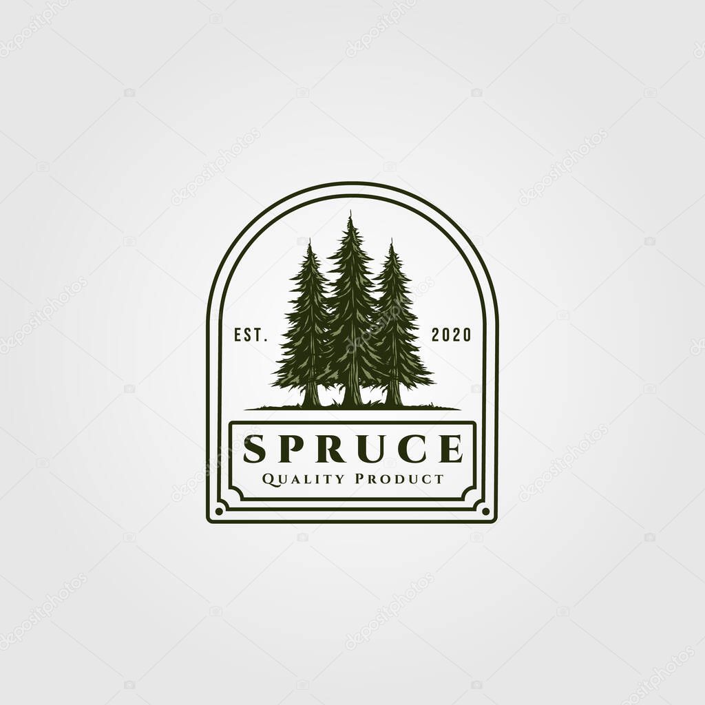 Spruce badge vector illustration design, vintage pine tree logo design