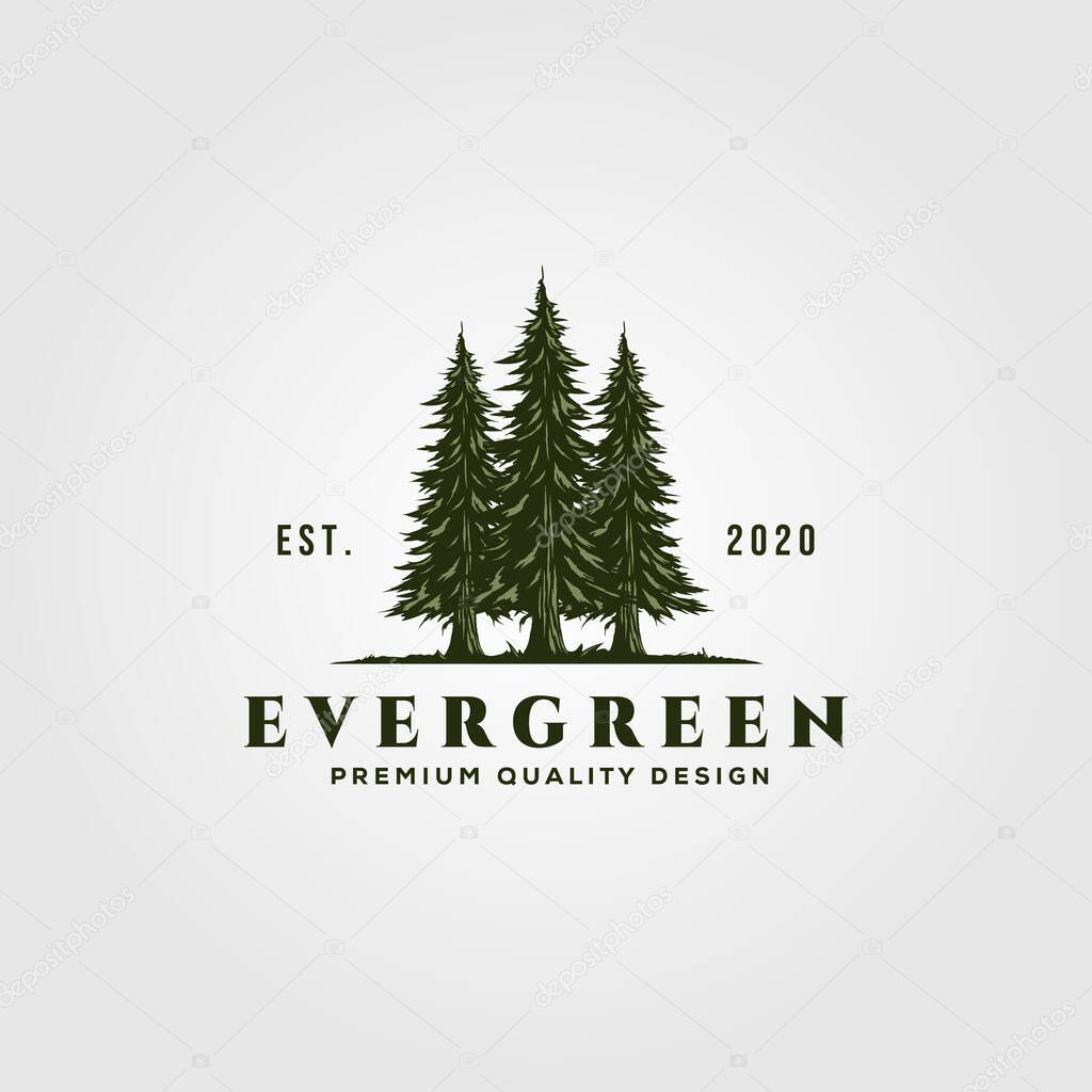 Evergreen logo vintage illustration design, pine trees logo