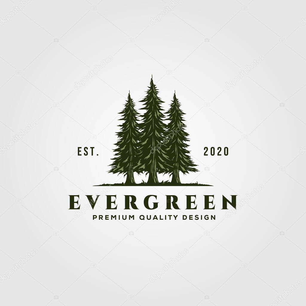 evergreen logo vintage illustration design, pine trees logo