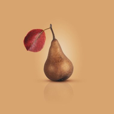 Kaiser Armut 'un yaratıcı fotoğrafı