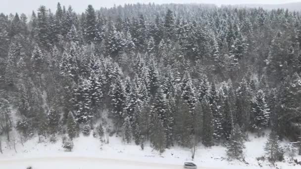 Landscape views of the wild winter mountains with the road passing nearby. A car drives to rest through the wilderness — Stock Video