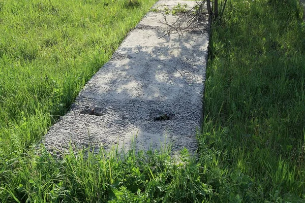 Eski Gri Uzun Beton Bir Levha Dışarıdaki Yeşil Çimlerde Yatıyor — Stok fotoğraf