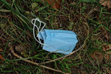 Kirli mavi bir tıbbi maskenin çöpü yeşil çimlerin üzerinde yatıyor. 
