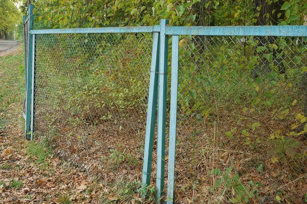 Sonbahar Parkında Dövülmüş Demir Çubuklardan Yapılmış Yeşil Metal Bir Çitin — Stok fotoğraf