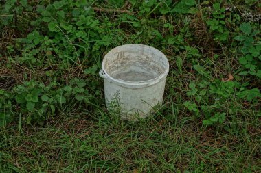 Doğada yeşil çimlerde ve bitki örtüsünde duran beyaz plastik bir kova.