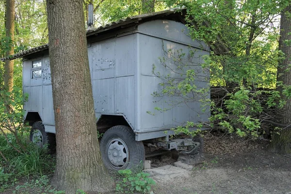 Grote Oude Ijzeren Aanhanger Wielen Begroeid Met Groene Vegetatie Tussen — Stockfoto