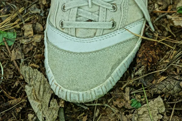 Una Sneaker Grigia Tessuto Poggia Terra Foglie Marroni Cadute Strada — Foto Stock